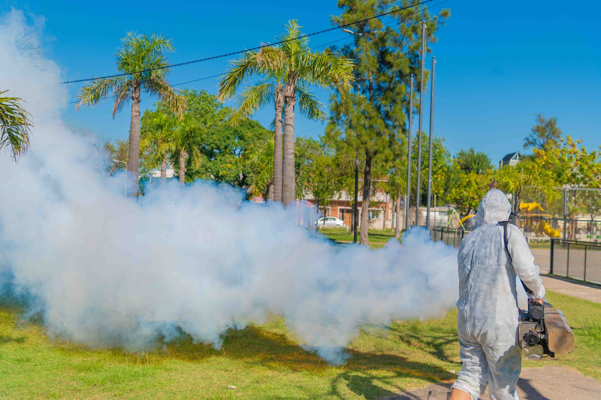 San Fernando: el municipio refuerza operativos de fumigación y ...